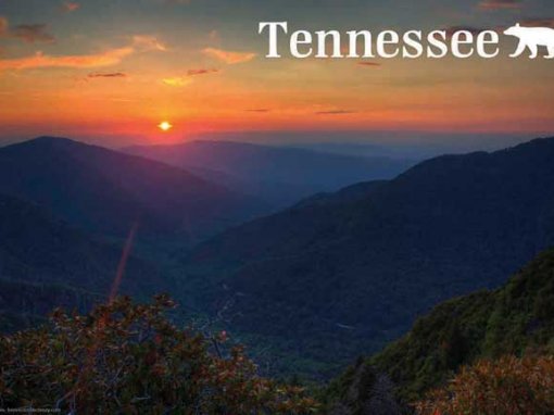Tennessee Souvenirs To Enjoy